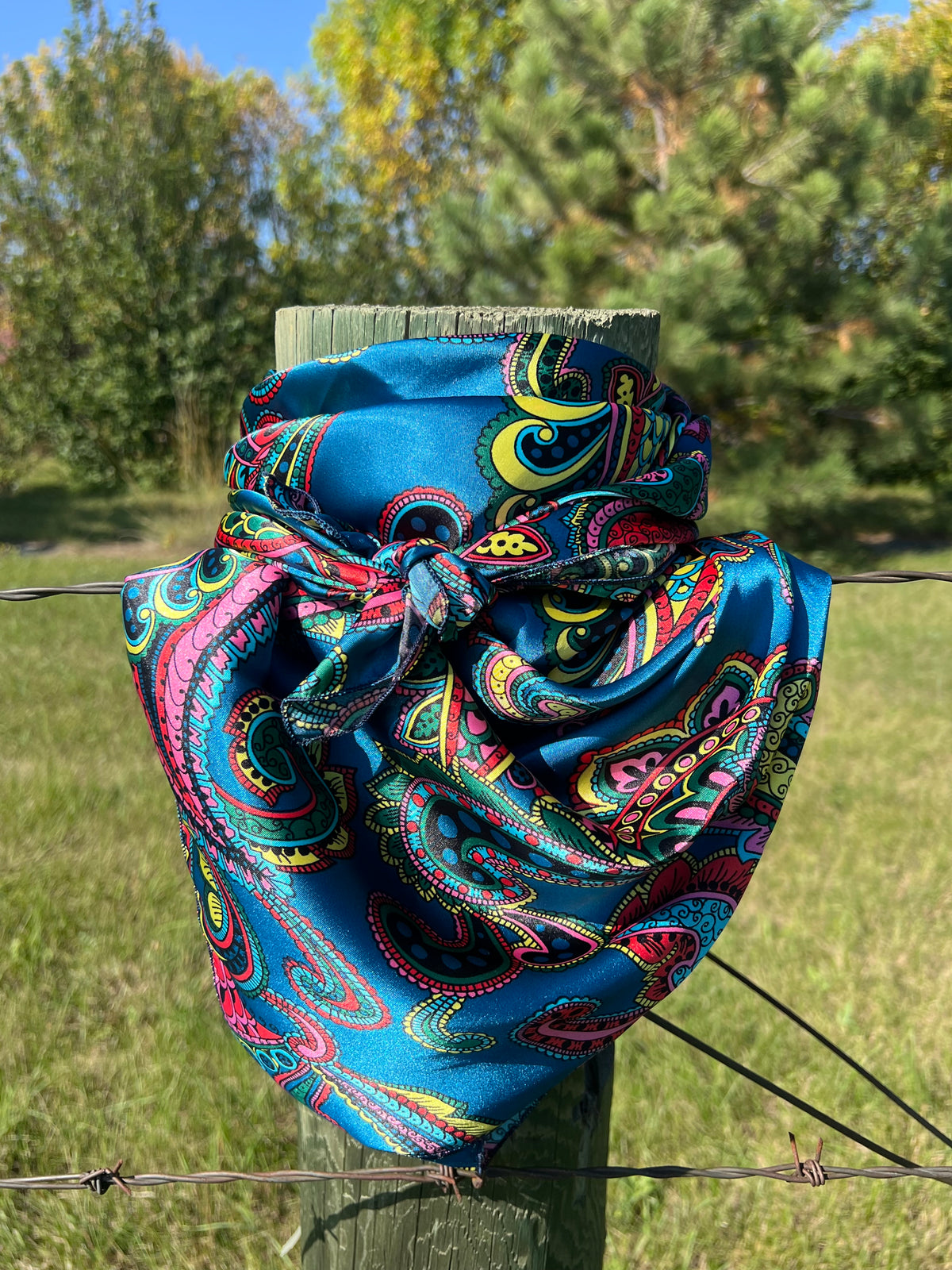 Wild Rag-Accesssory-Branded Envy