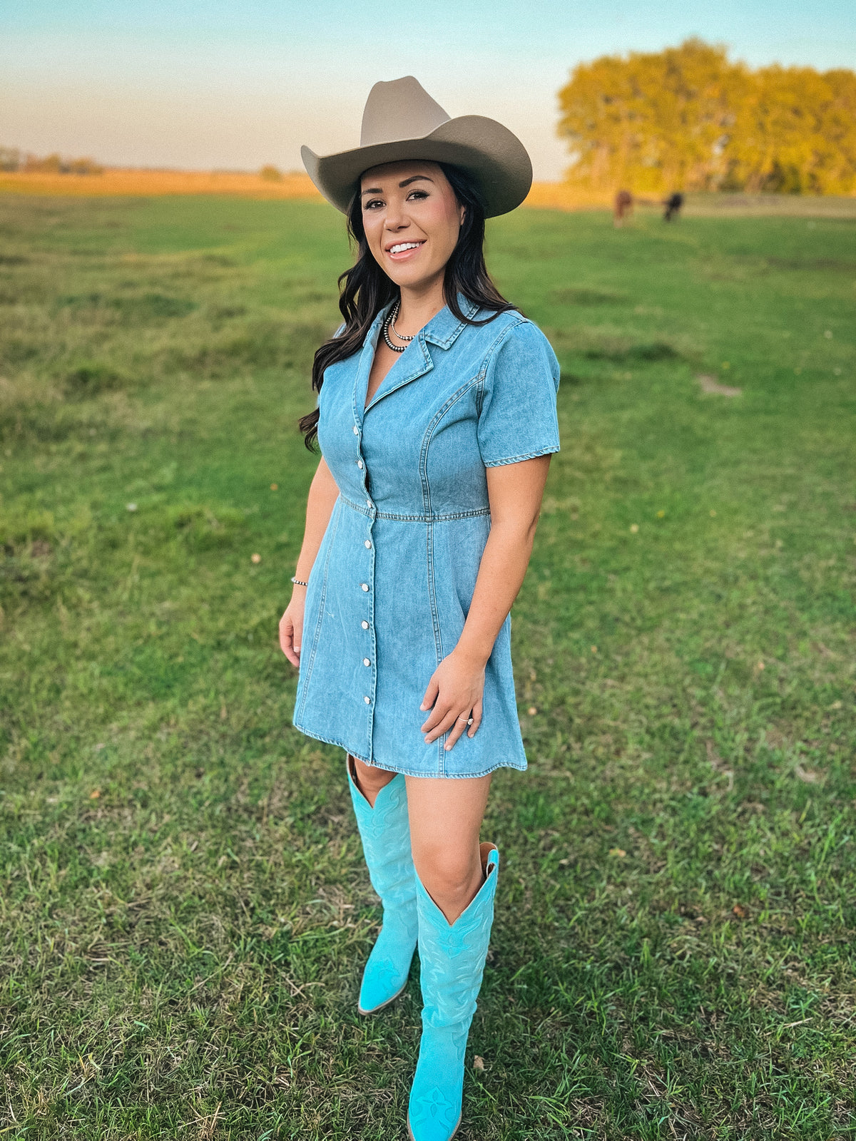 Denim Mini Dress-Branded Envy