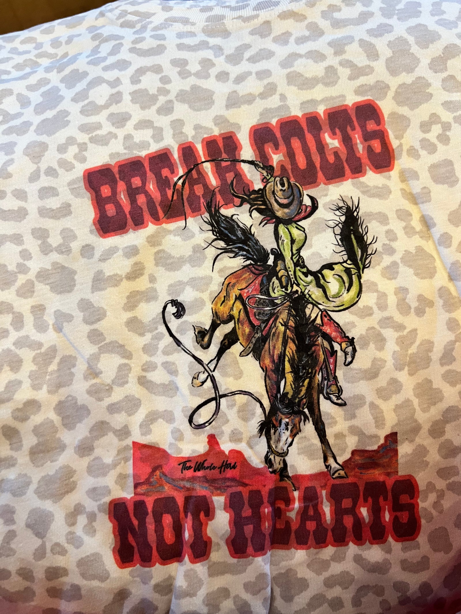 Youth Colts Graphic-Kids Fashion-Branded Envy