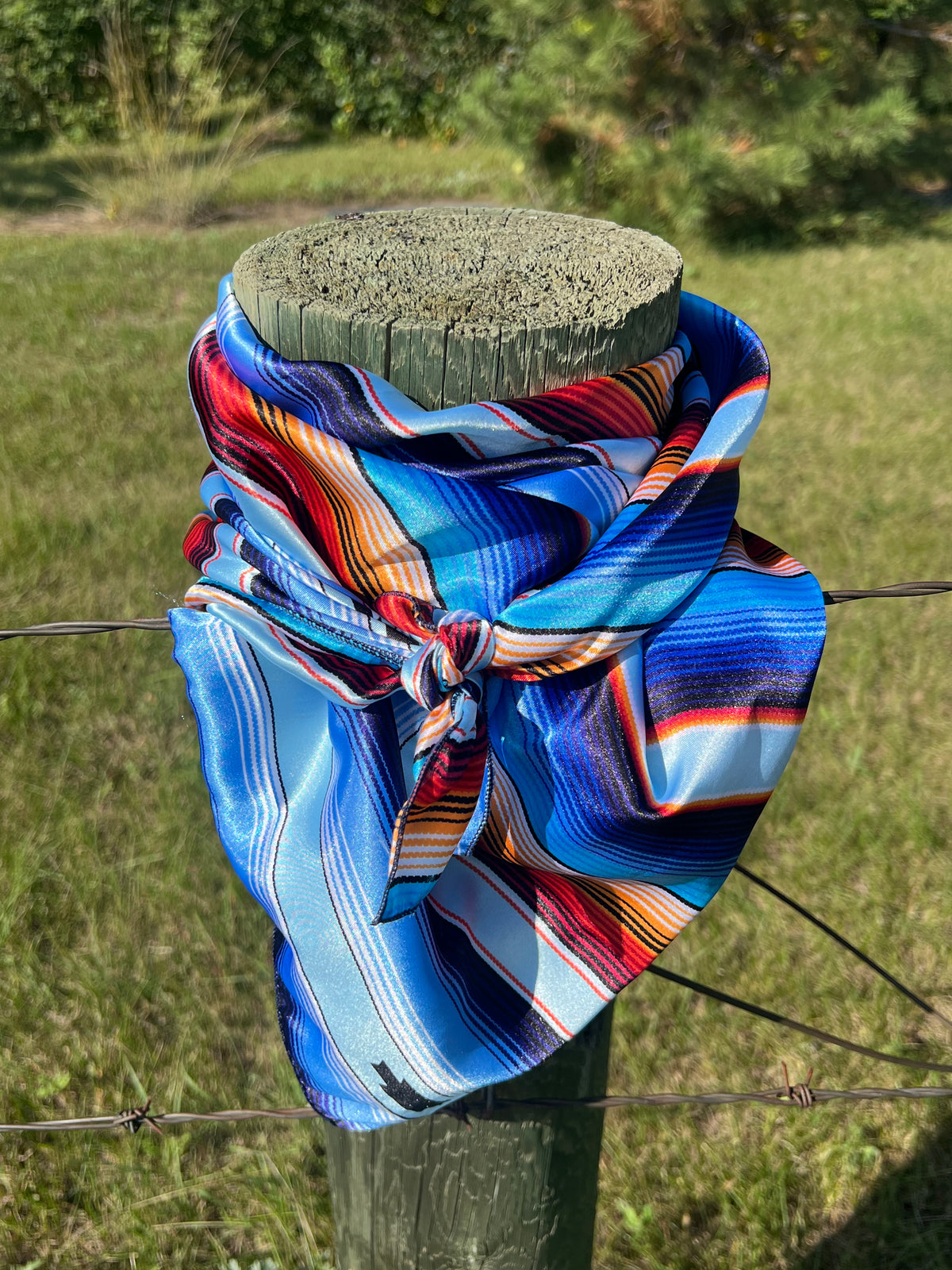 Wild Rag-Accesssory-Branded Envy