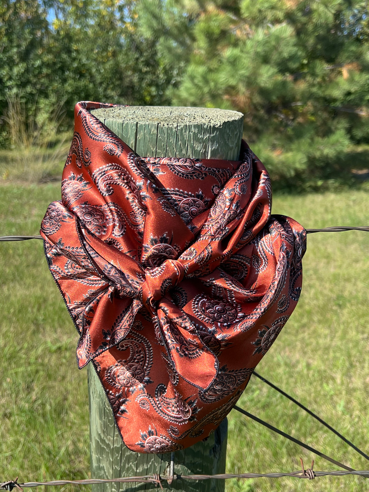 Wild Rag-Accesssory-Branded Envy