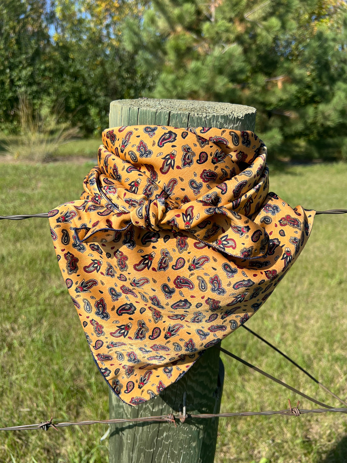 Wild Rag-Accesssory-Branded Envy