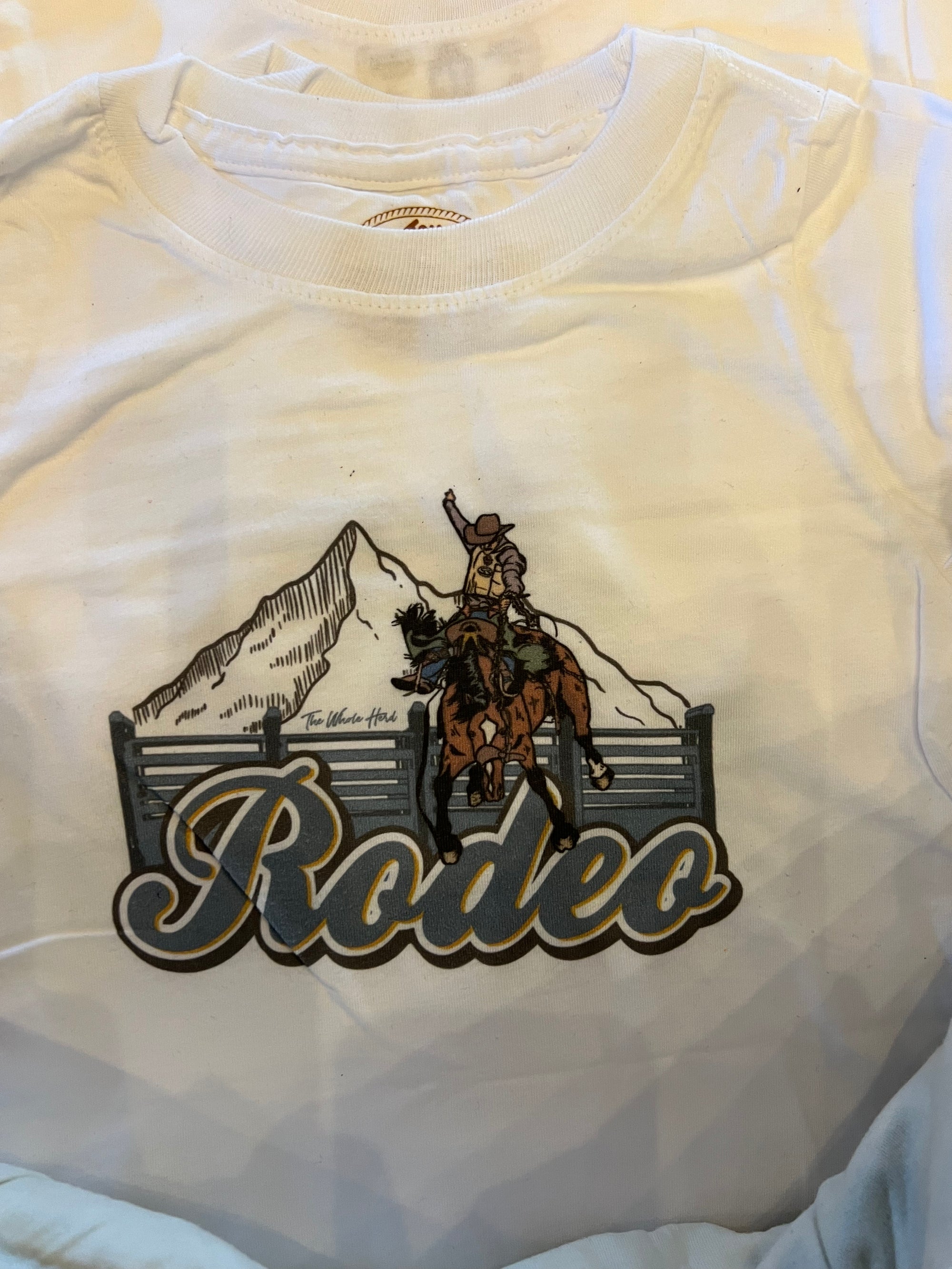 Youth Rodeo2 Graphic-Kids Fashion-Branded Envy