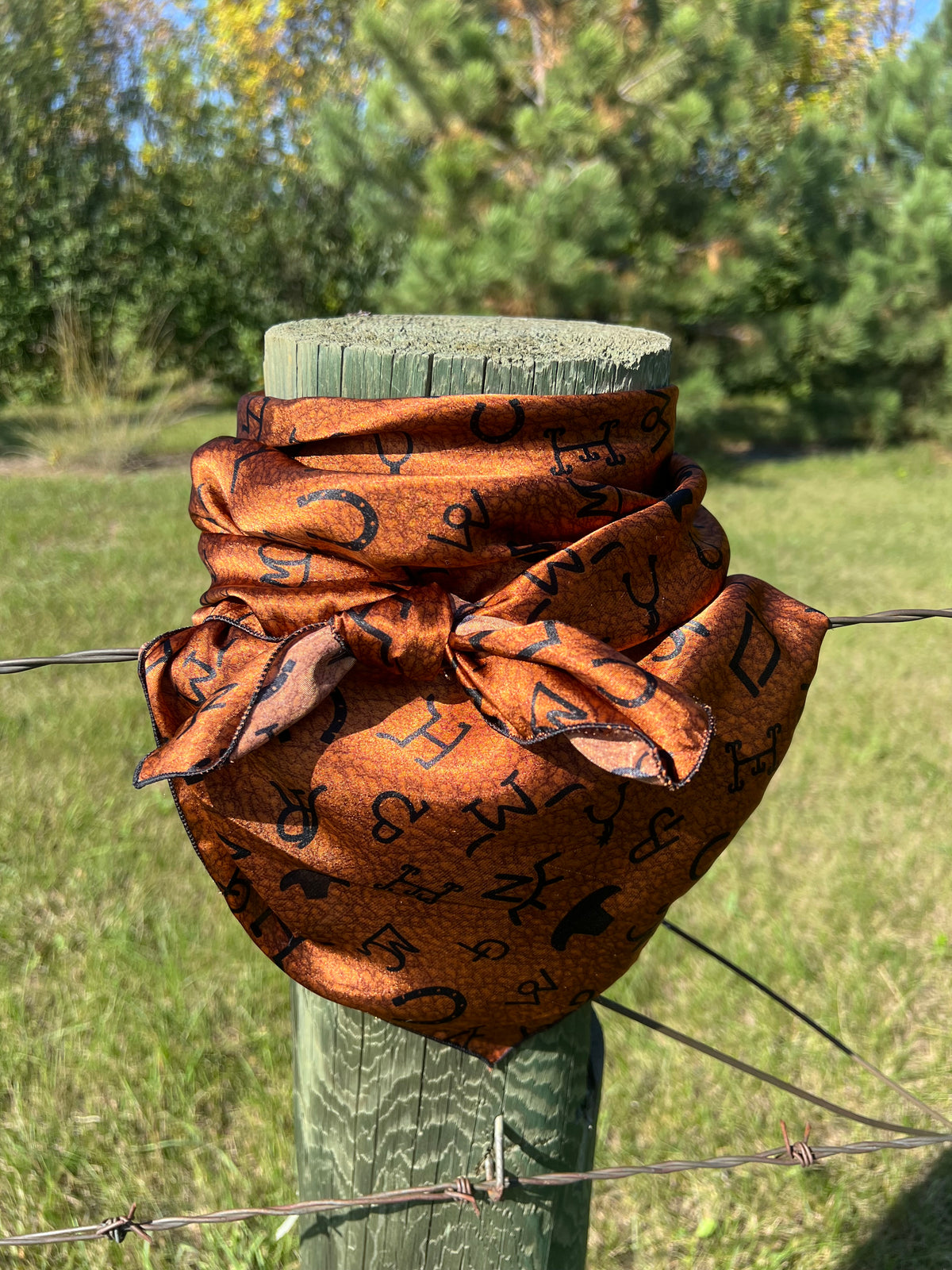 Wild Rag-Accesssory-Branded Envy