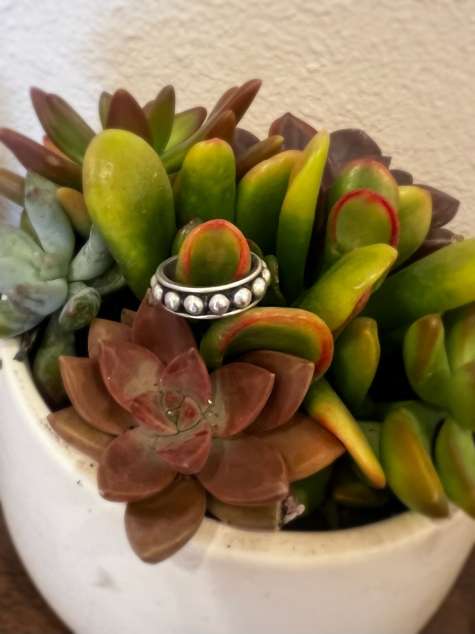 Dotted Sterling Ring-Branded Envy