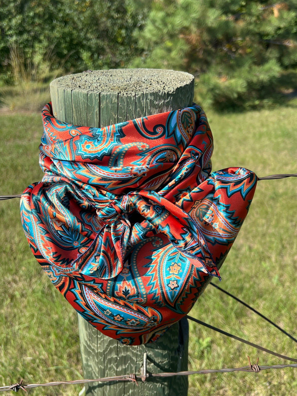 Wild Rag-Accesssory-Branded Envy