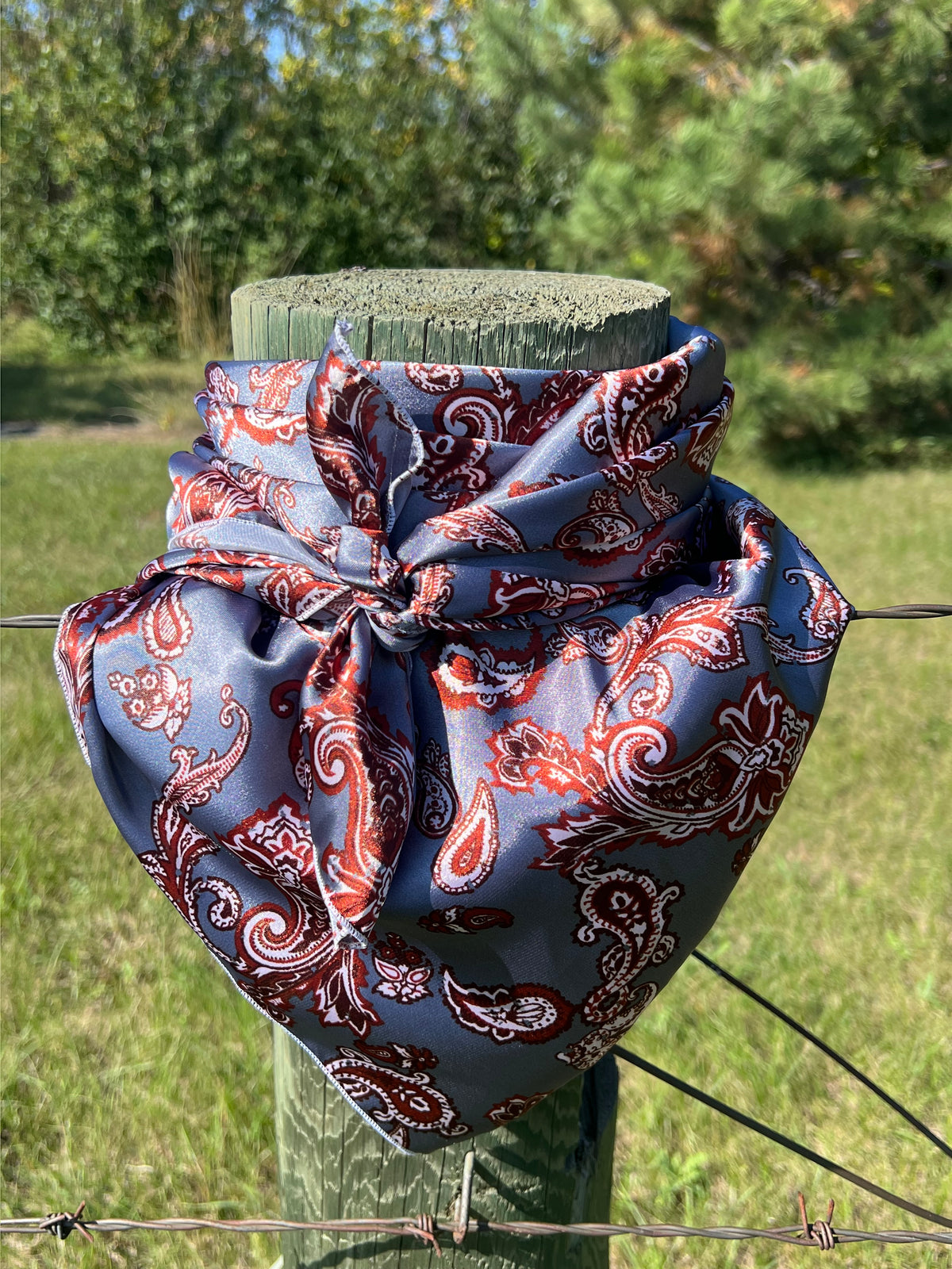 Wild Rag-Accesssory-Branded Envy