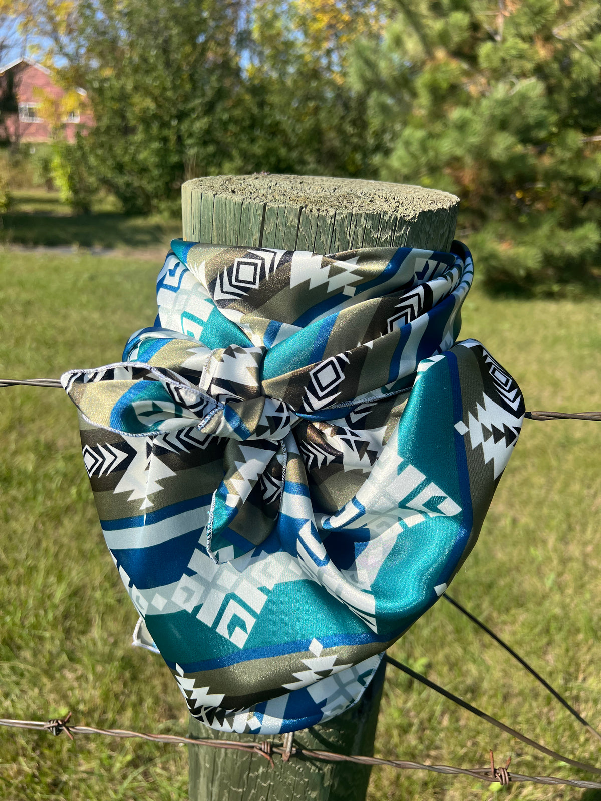 Wild Rag-Accesssory-Branded Envy