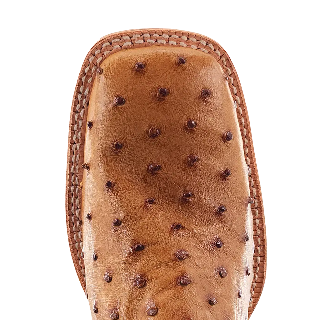 R. Watson Antique Saddle Ostrich Boot-Branded Envy