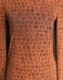 Branded LS Top-Fashion Top-Branded Envy