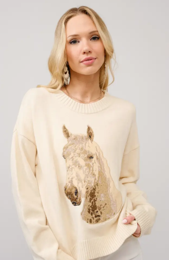 Round Neck Horse Embroidery Sweatshirt