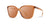 Rylahn Sunglasses: Brown Crystal / Mission Trails-Sunglasses-Branded Envy