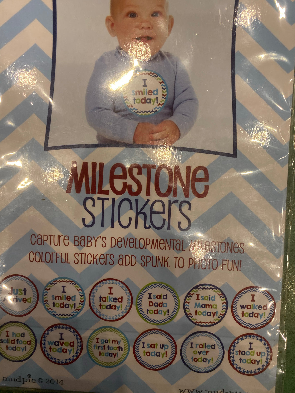 Milestone Stickers &amp; Monthly Ties-Accessory-Branded Envy