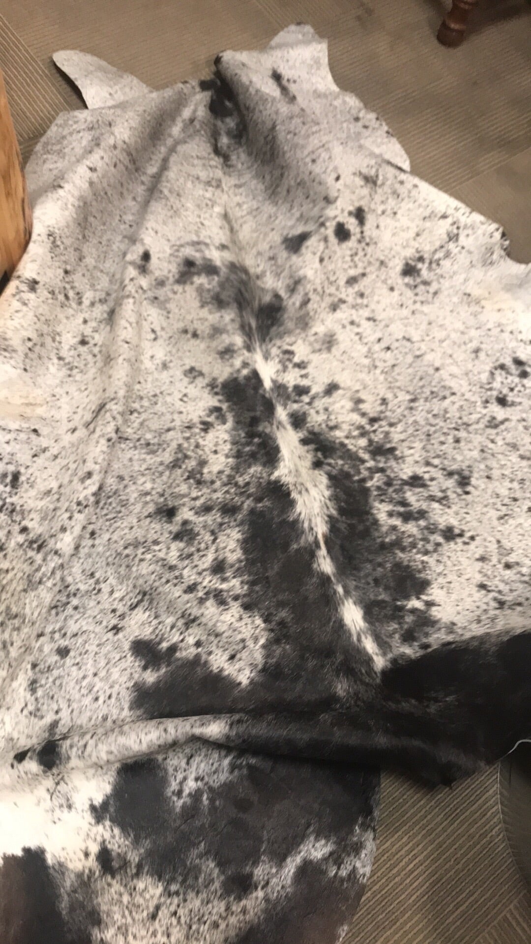 Speckled hide-Branded Envy