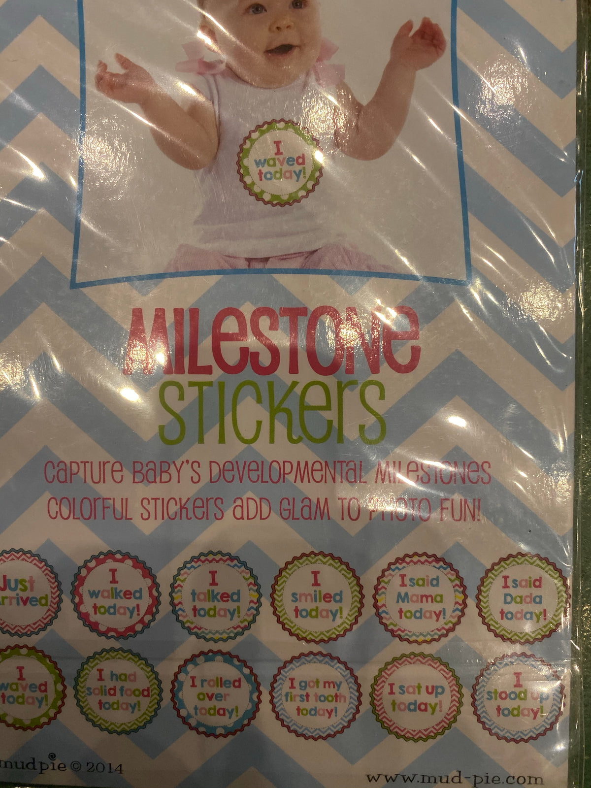 Milestone Stickers &amp; Monthly Ties-Accessory-Branded Envy