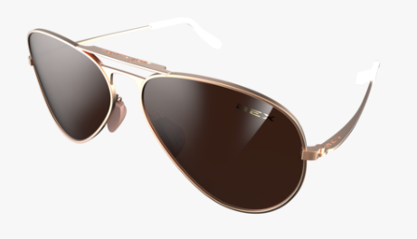 BEX Wesley Sunglasses-Sunglasses-Branded Envy